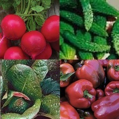 Upriver Mountain Kickboot Combo